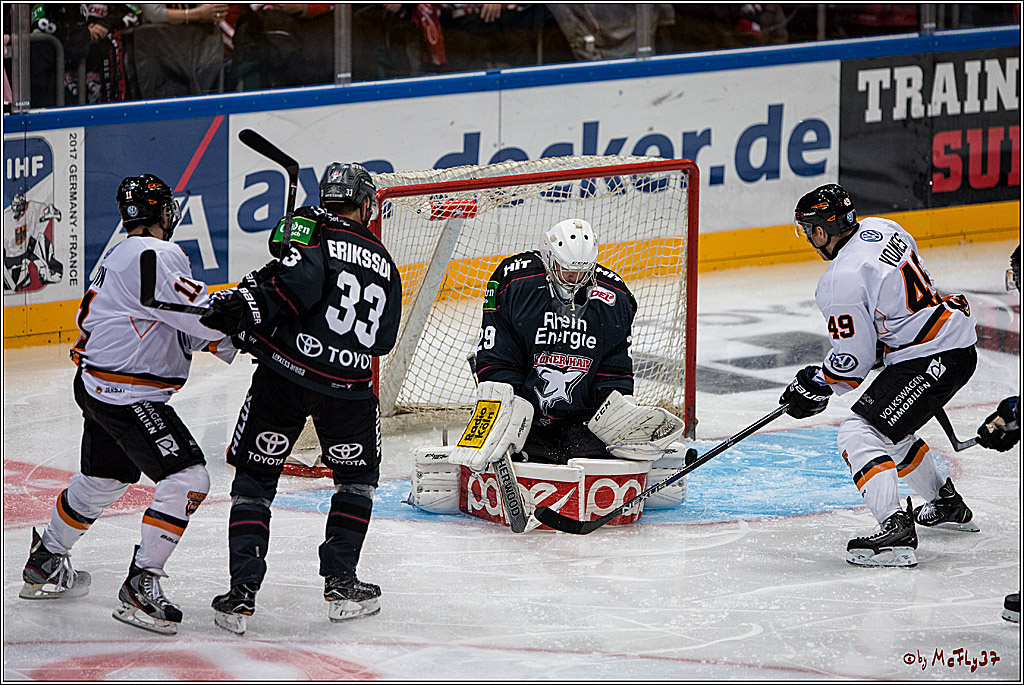 Koelner Haie - Grizzlys Wolfsburg, 16.10.2016, 16.10.2016